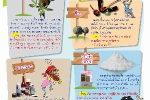 Gallery Image - 1